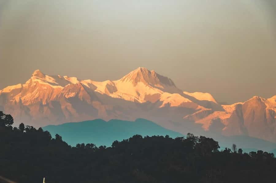 Pokhara: Guided Day Hike From Dampus To Australian Base Camp - Price and value: is $55 fair for a guided Annapurna day?