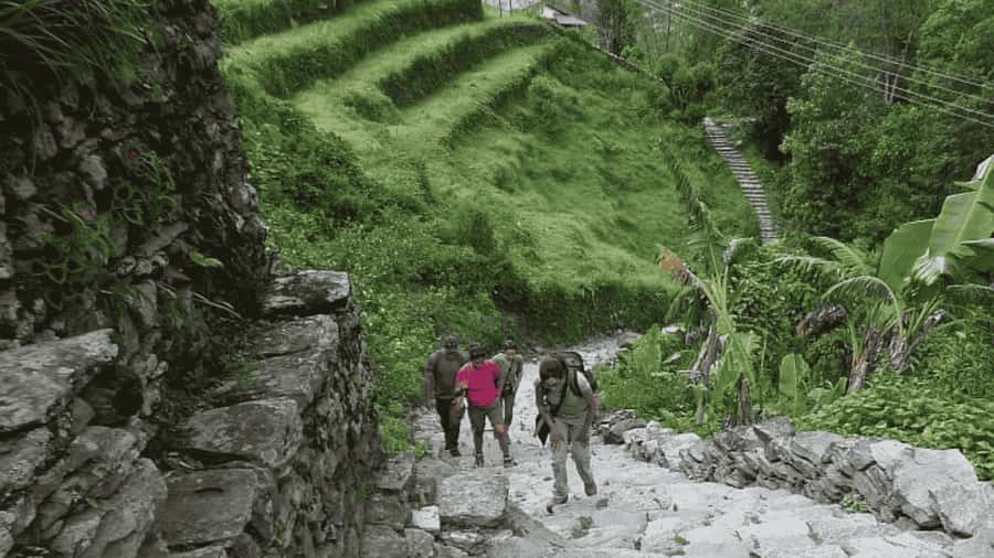 Pokhara: Guided Day Hike From Dampus To Australian Base Camp - Dhampus: Gurung village time with mountain views