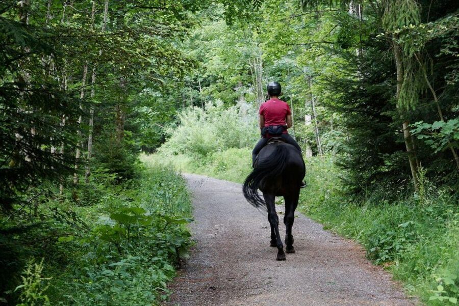 Pokhara: Horseback Adventure - Getting Picked Up in Lakeside Pokhara (and What to Know)