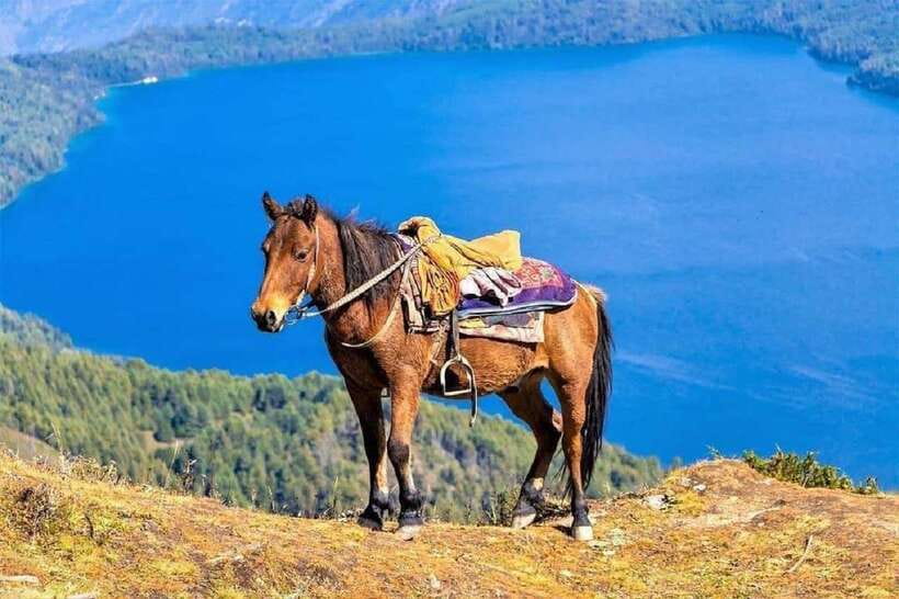 Pokhara: Horseback Riding Adventure with Hotel Pickup - Key things to know before you go
