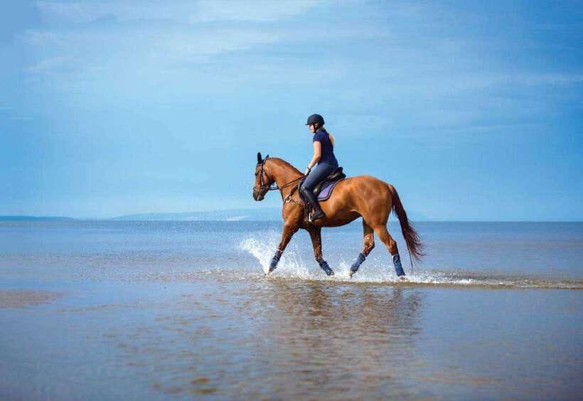 Pokhara: Horseback Riding Adventure with Hotel Pickup - Who should book this horseback ride (and who should skip it)