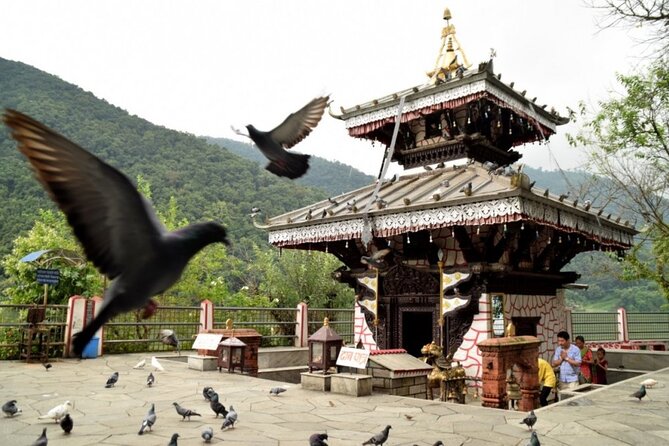 Pokhara in 5 Hours: Lake, Museum, Cave, Falls & Pagoda Hill - A 5-hour Pokhara hit list, with a private driver who actually helps