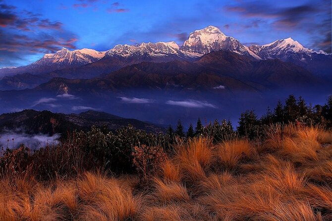 Pokhara: Poon Hill Ghorepani Short Trek - Price and Value: What $290 Gets You in Real Mountain Time