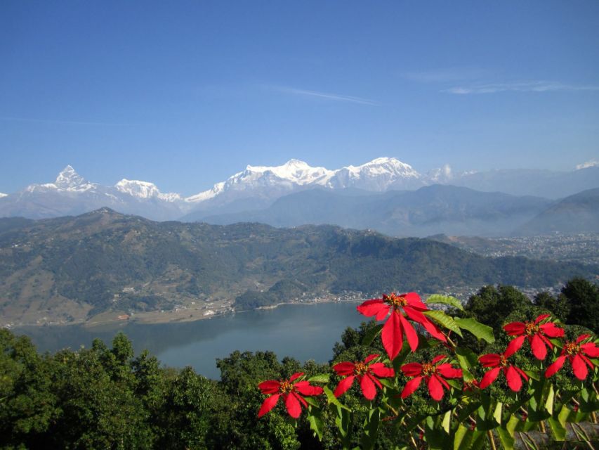 Pokhara: Private City Tour and Sarangkot Sunrise - Group size, pacing, and who this tour suits best
