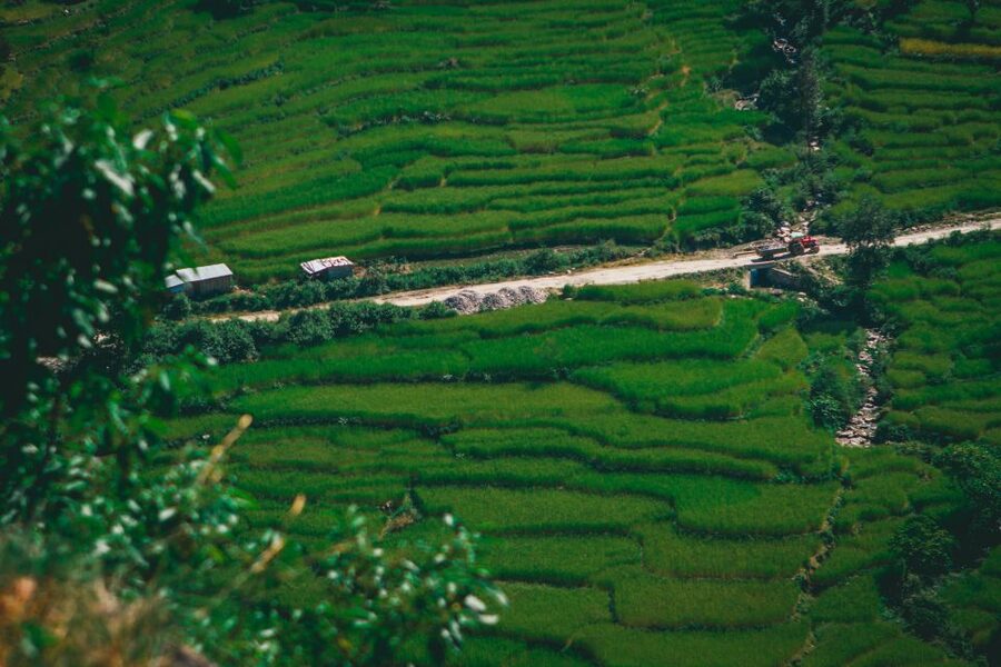 Pokhara: Suspension Bridge Private Tour- 30 Min Village Walk - Who This Tour Suits Best (And Who Should Adjust Expectations)