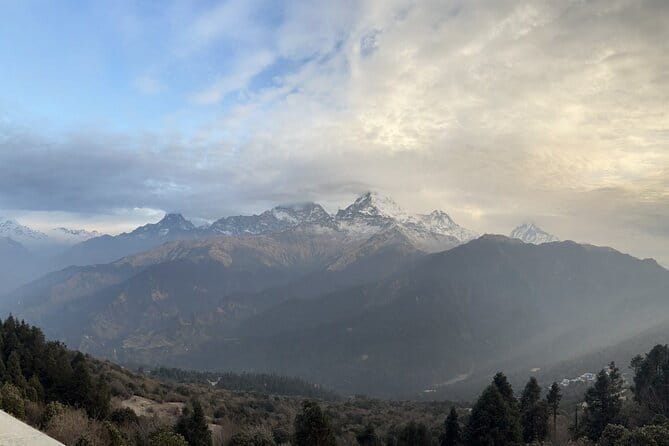 Poon Hill Ghandruk Circuit Trek from Pokhara 4 Days - The downhill to Pokhara: rhododendron and the long exhale