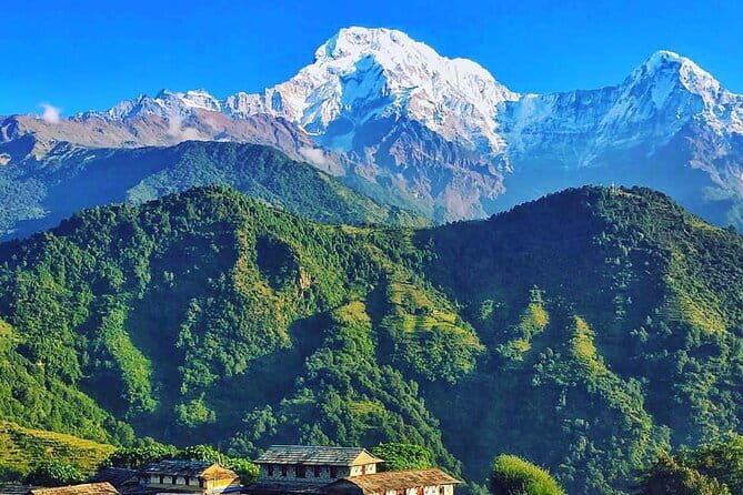 Poon Hill Ghandruk Circuit Trek from Pokhara 4 Days - Teahouses, permits, and your guide: the stuff you should care about