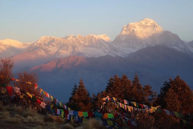 Poon Hill Trek - 04 Days - From Pokhara Lakeside to Nayapool, then uphill to Tikhedhunga