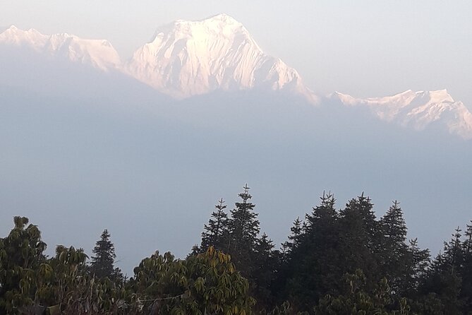 Poon hill Trek 3 days - Poon Hill at sunrise: Annapurna’s morning reveal