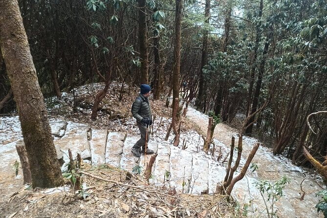 Poon Hill Trek from Pokhara 4 Days - Fitness level, timing, and the one real drawback to think about