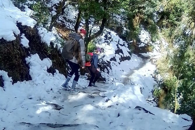 Poon Hill Trek package - Day 5: downhill finish to Syauli Bazzar and back to Pokhara Lakeside