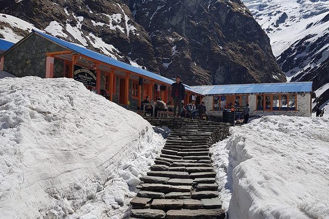 Private 7 - Day Annapurna Base Camp Trekking - Pokhara morning start: meeting point, pickup, and timing