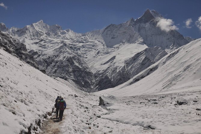 Private 7 - Day Annapurna Base Camp Trekking - Day 6 return with Jhinu Danda hot spring: bamboo forests, ridge walking, and sore-leg relief