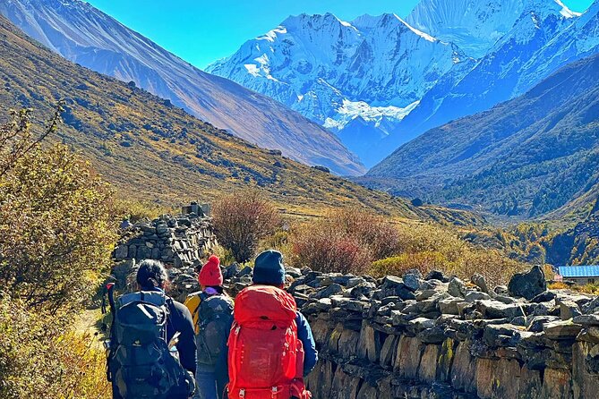 Private 8 - Day Langtang Trekking - Forest trekking in Langtang National Park: Lama Hotel toward Bamboo