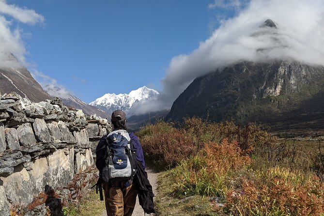 Private 8 - Day Langtang Trekking - Retracing downhill: Lama Hotel again through rhododendron forest