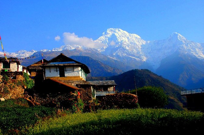 Private Full-Day Hike in the Annapurna Foothills in Pokhara - Climbing toward Australian Camp for viewpoint time