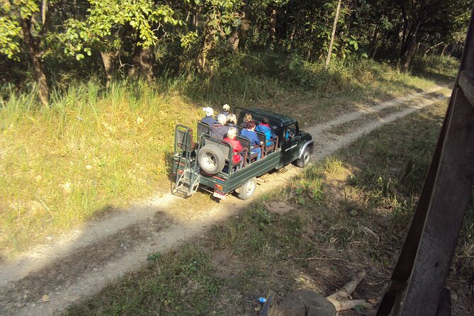 Private Jeep Safari (8-10 hrs.)inside Chitwan National Park. - Lunch box, comfort, and what “full day” actually means