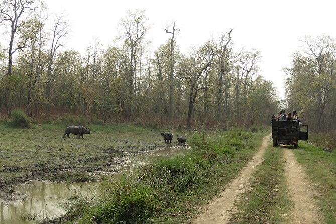 Private Jeep Safari (8-10 hrs.)inside Chitwan National Park. - Value and price: what $196.66 per person includes