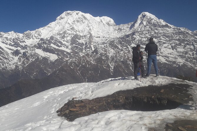 Private Mardi Himal Trek - The Support System I’d Bet On: Guide, Porter Ratio, Lodges, and Included Gear