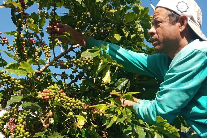 Sarangkot Village Coffee Culture and Authentic Local Life Tour - Pandeli Park views at 1200 meters, plus a break that feels earned