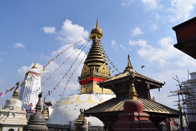 Seven World Heritage Day Tour in Kathmandu Nepal - Patan Museum: where the artifacts help the temples make sense
