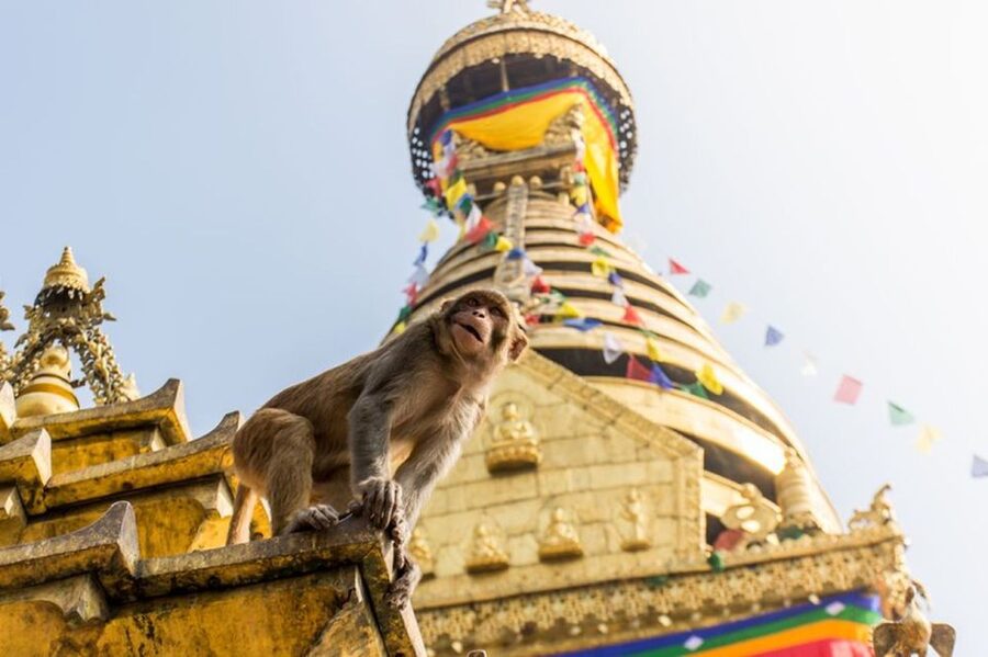 Spiritual Nepal: Expert insight into Multifaith Journey - Should you book it? My take