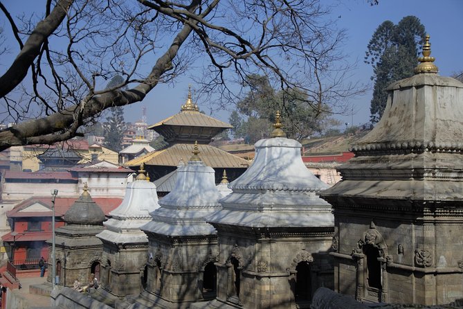 Temples and Stupas Tour in Kathmandu Valley - Pashupatinath Temple: Shiva in action, plus the reality of cremation sites