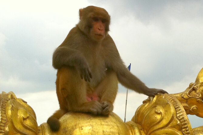 TOP 4 UNESCO World Heritage Sites Tour - The Real Star: Your Guide and Driver Make or Break the Day